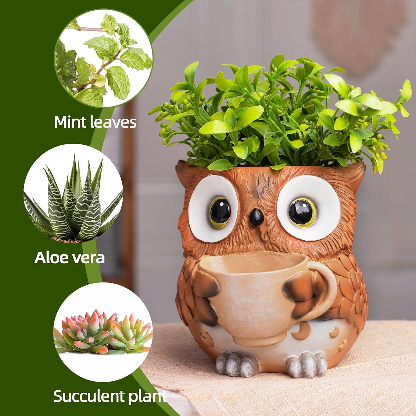 Saysmile Unique Owl Plant Pots Indoor, Cute Small Succulent Pots with Drainage Hole, Rocking Chair Planters for Outdoor Indoor Plants, Resin Flower Pot for String of Pearls, Gift Ideas for Mother
