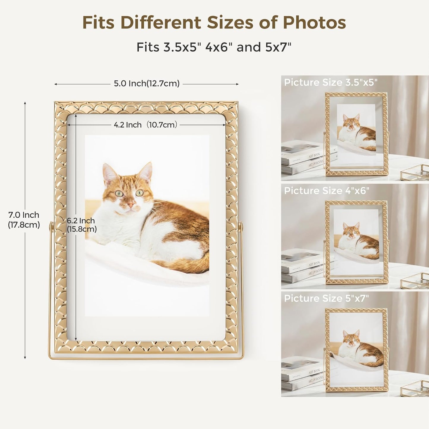 RICHFOCUS Gold 5x7 Floating Picture Frame for Photo 4x6 3.5x5 | 5 x 7 Metal Picture Frames with Double Glass for Tabletop|Modern Photo Frames Wedding|Home Decor