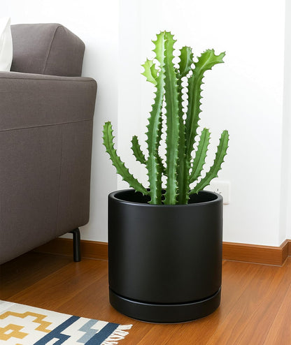 D'vine Dev Set of 2 Plants Pots, 6.5 Inch Ceramic Planter Pot for Plants with Drainage Hole and Saucer, White, 94-V-C-1