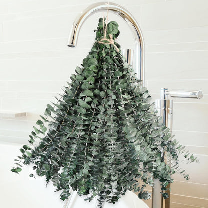 12PCS Dried Eucalyptus for Shower Hanging - 17'' Real Large Preserved Eucalyptus Stems Green Home Decor, 100% Made from Fresh Eucalyptus Leaves, Bathroom Shower Decor, Wedding, DIY
