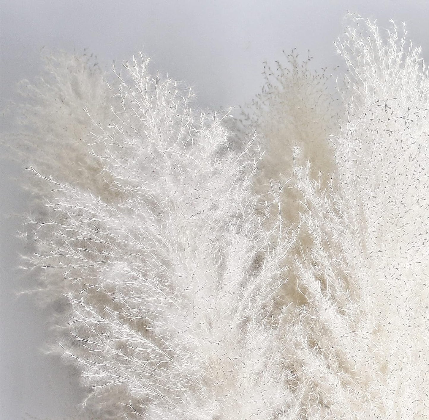 46" inch 10 Stems Natural Pampas Grass Decor Tall, Pompas Grass, Tall Pampas Grass for Weddingm, Farmhouse, Boho Home Decor (Beige)