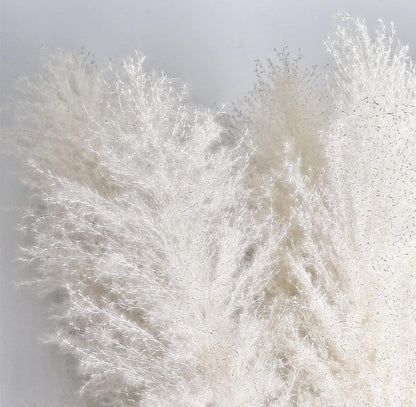 46" inch 10 Stems Natural Pampas Grass Decor Tall, Pompas Grass, Tall Pampas Grass for Weddingm, Farmhouse, Boho Home Decor (Beige)