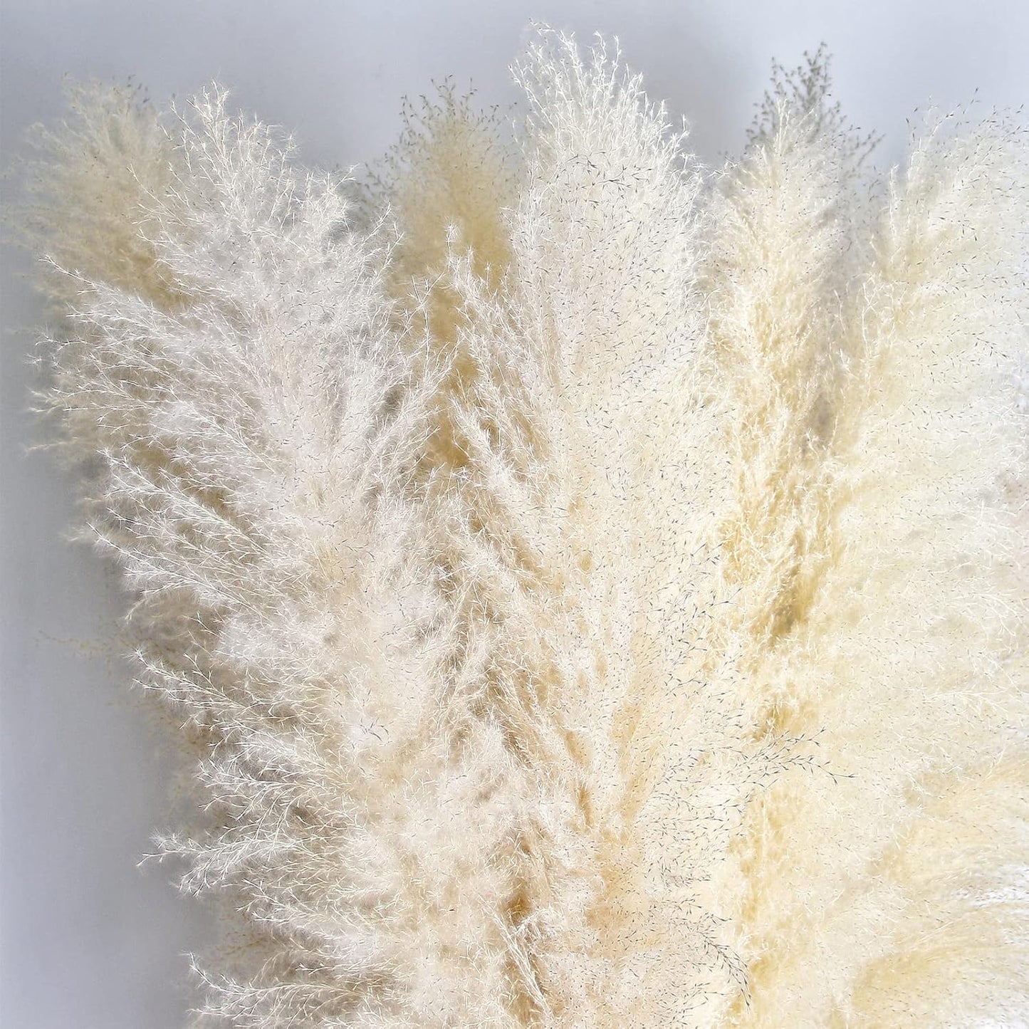 46" inch 10 Stems Natural Pampas Grass Decor Tall, Pompas Grass, Tall Pampas Grass for Weddingm, Farmhouse, Boho Home Decor (Beige)