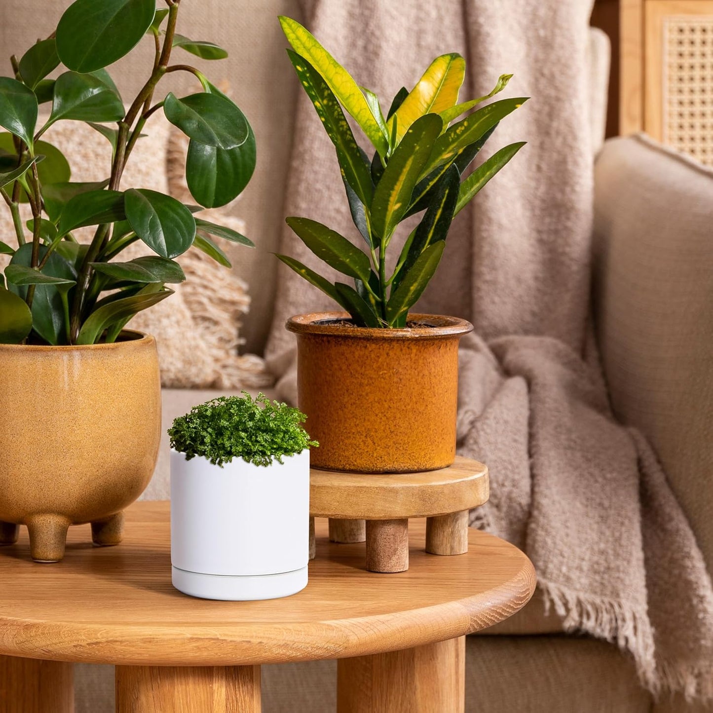 D'vine Dev Set of 2 Plants Pots, 6.5 Inch Ceramic Planter Pot for Plants with Drainage Hole and Saucer, White, 94-V-C-1