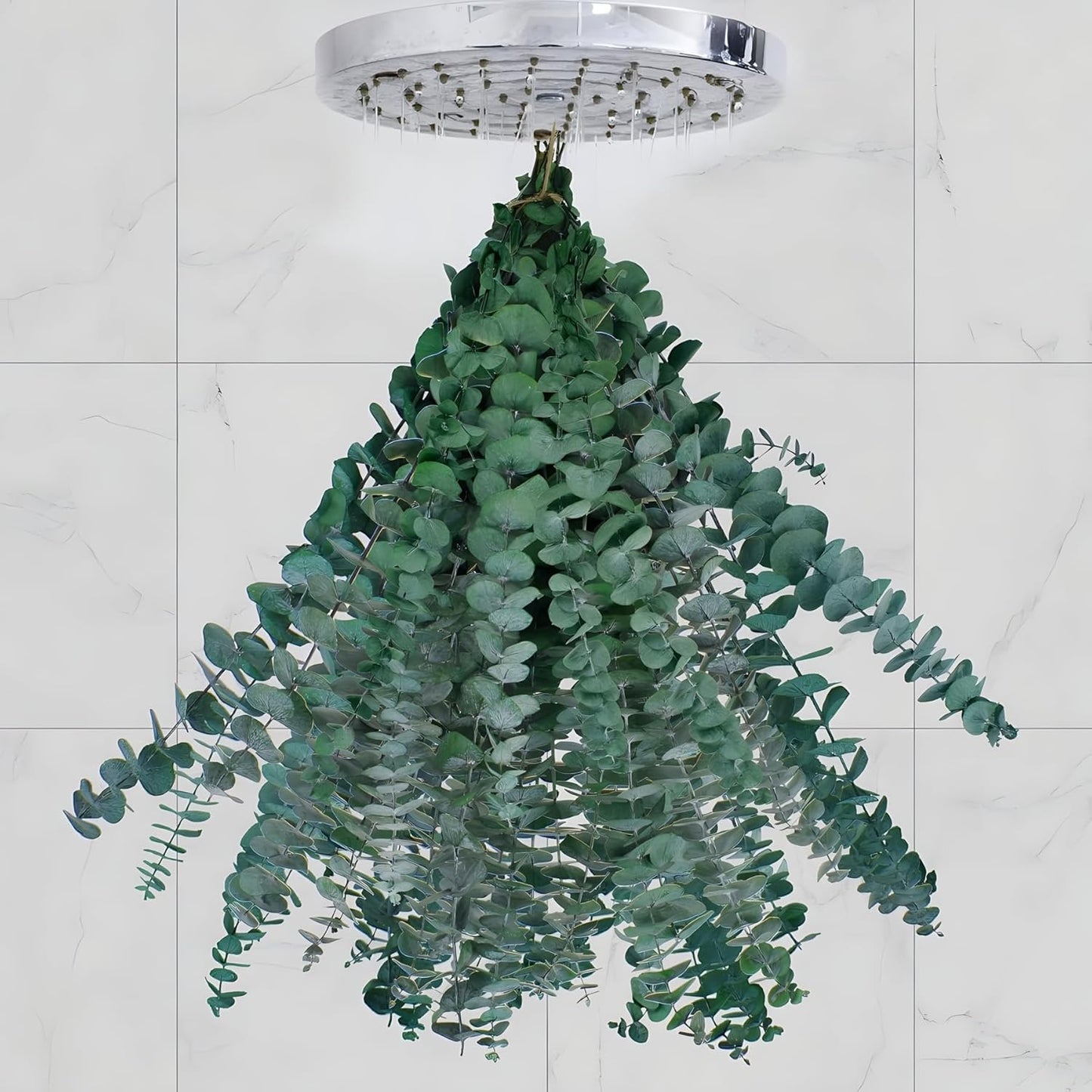 12PCS Dried Eucalyptus Bundle 17'' Real Eucalyptus Stems 100% Natural Fresh Leaves Hanging Plants Greenery Stems for Shower Home Decor Flower Arrangement Wedding