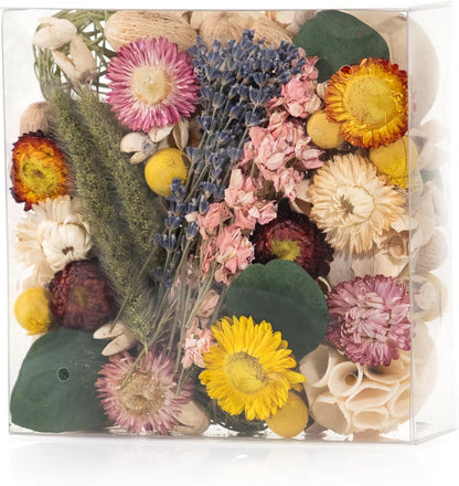 ANDALUCA Maison Box Fragrance Potpourri Decorative Vase & Bowl Filler Home Décor (Coconut Sandalwood)