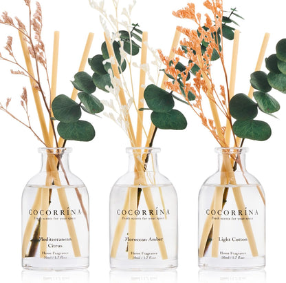 COCORRÍNA Eucalyptus Reed Diffuser Set of 3 - Lavender Eucalyptus, Black Forest, Clean Cotton Scents, 1.7 fl oz Each, Total 5.1 oz, Scented Oil Diffusers for Home & Office﻿