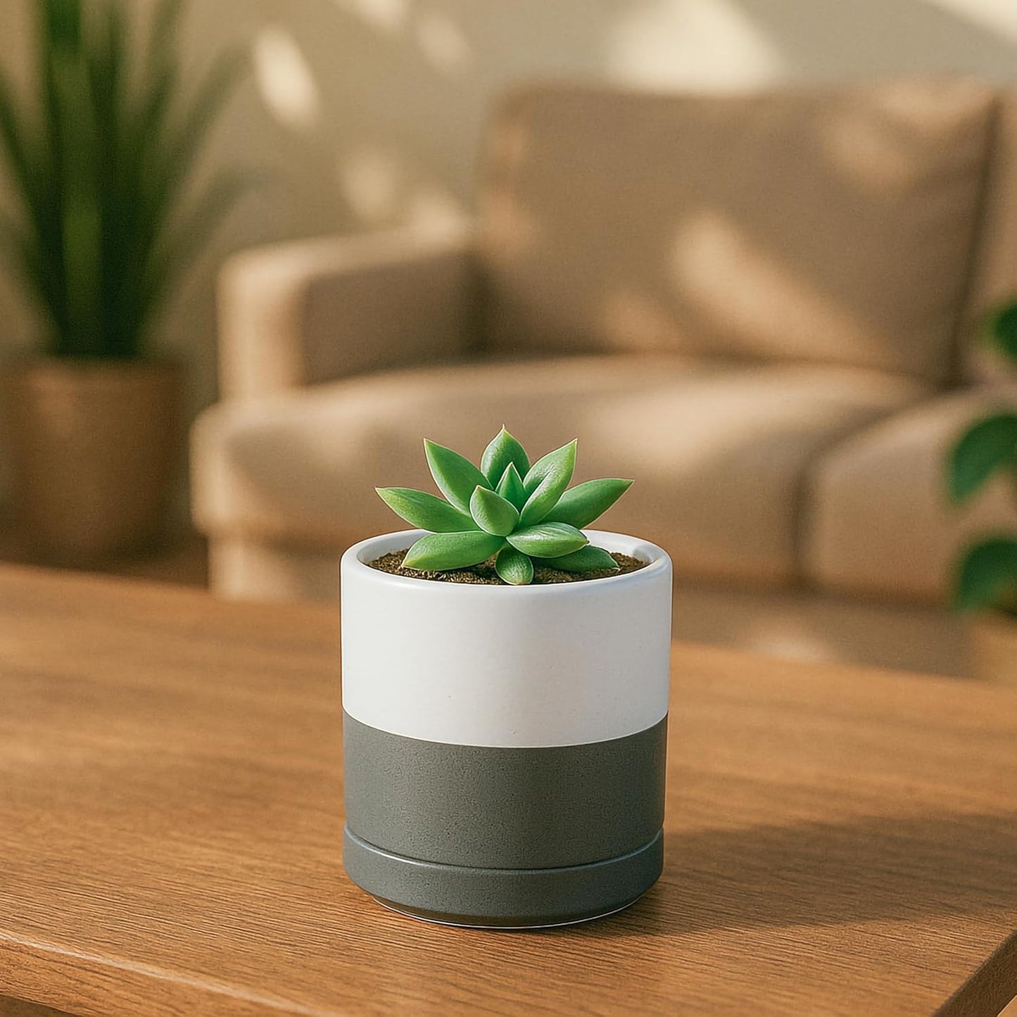 D'vine Dev 6.5 Inch Ceramic Planter Pot with Drainage Hole and Saucer, Indoor Cylinder Round Planter Pot, Olive, 94-O-C-J