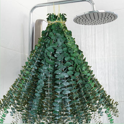30 Pcs Dried Preserved Eucalyptus Stems Shower Bundle, 9oz 17" 100% Natural Fresh Eucalyptus Plant, Real Eucalyptus Leaves Branches for Shower Vase Filler, Dried Flowers Arrangement Home Decor