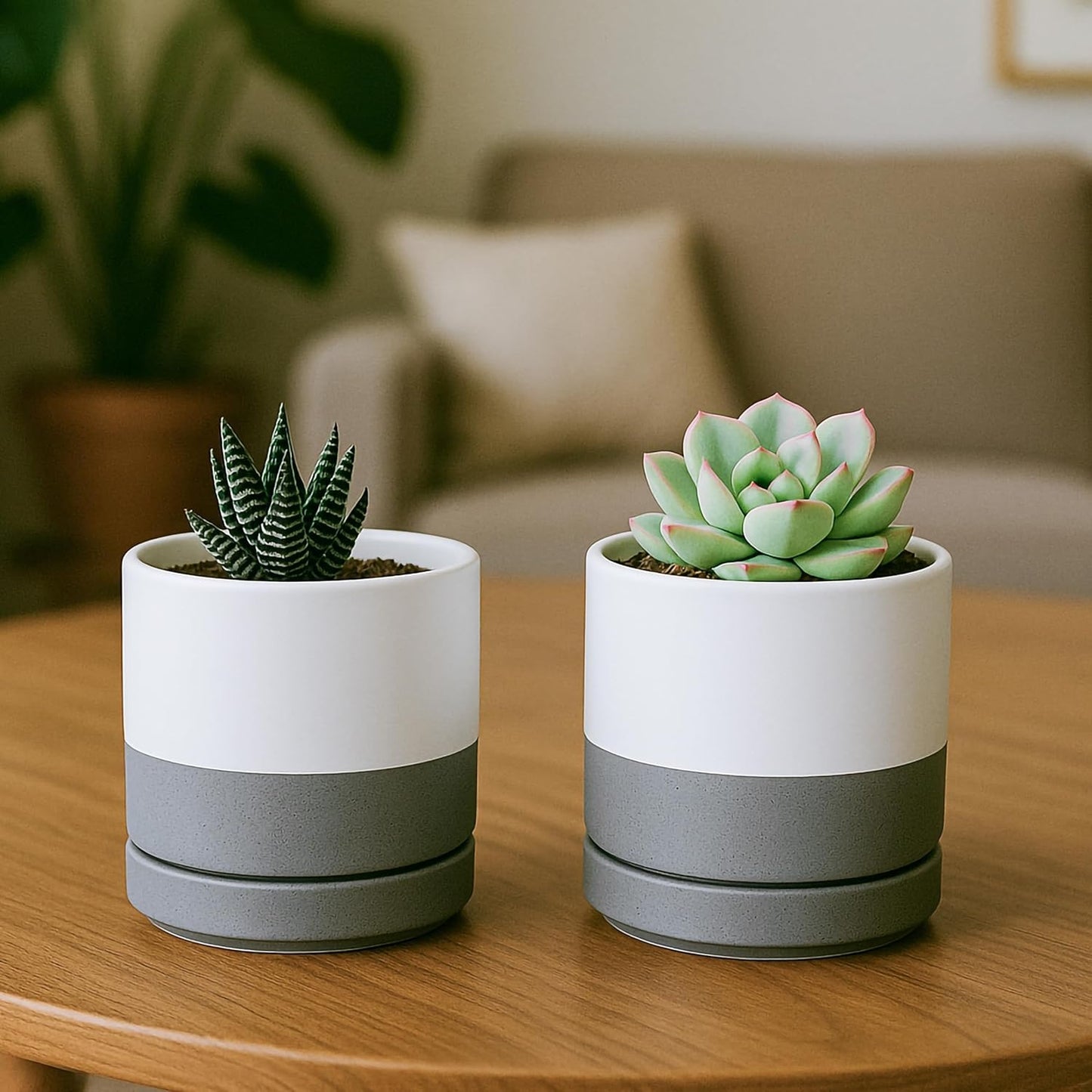 D'vine Dev Set of 2 Plants Pots, 6.5 Inch Ceramic Planter Pot for Plants with Drainage Hole and Saucer, White, 94-V-C-1