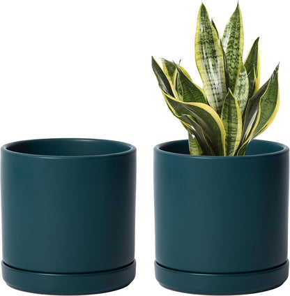 D'vine Dev Set of 2 Plants Pots, 6.5 Inch Ceramic Planter Pot for Plants with Drainage Hole and Saucer, White, 94-V-C-1