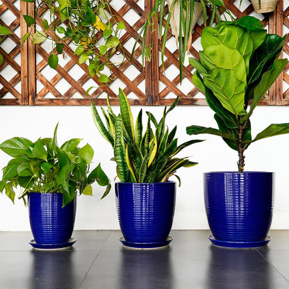 Ceramic Pots for Plants - 6 Inch Plant Pot with Drainage Hole and Saucer, Round Planters for Indoor Outdoor, Flower Pots, Modern Planter, Home Office Room Decor, Gifts for Plant Lovers, White