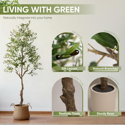 Olive Tree Artificial Indoor, 7 FT Faux Olive Trees with Planter, Fake Tall Plants with Natural Trunk and Lifelike Fruits for Home Office Decor(1, 7FT)