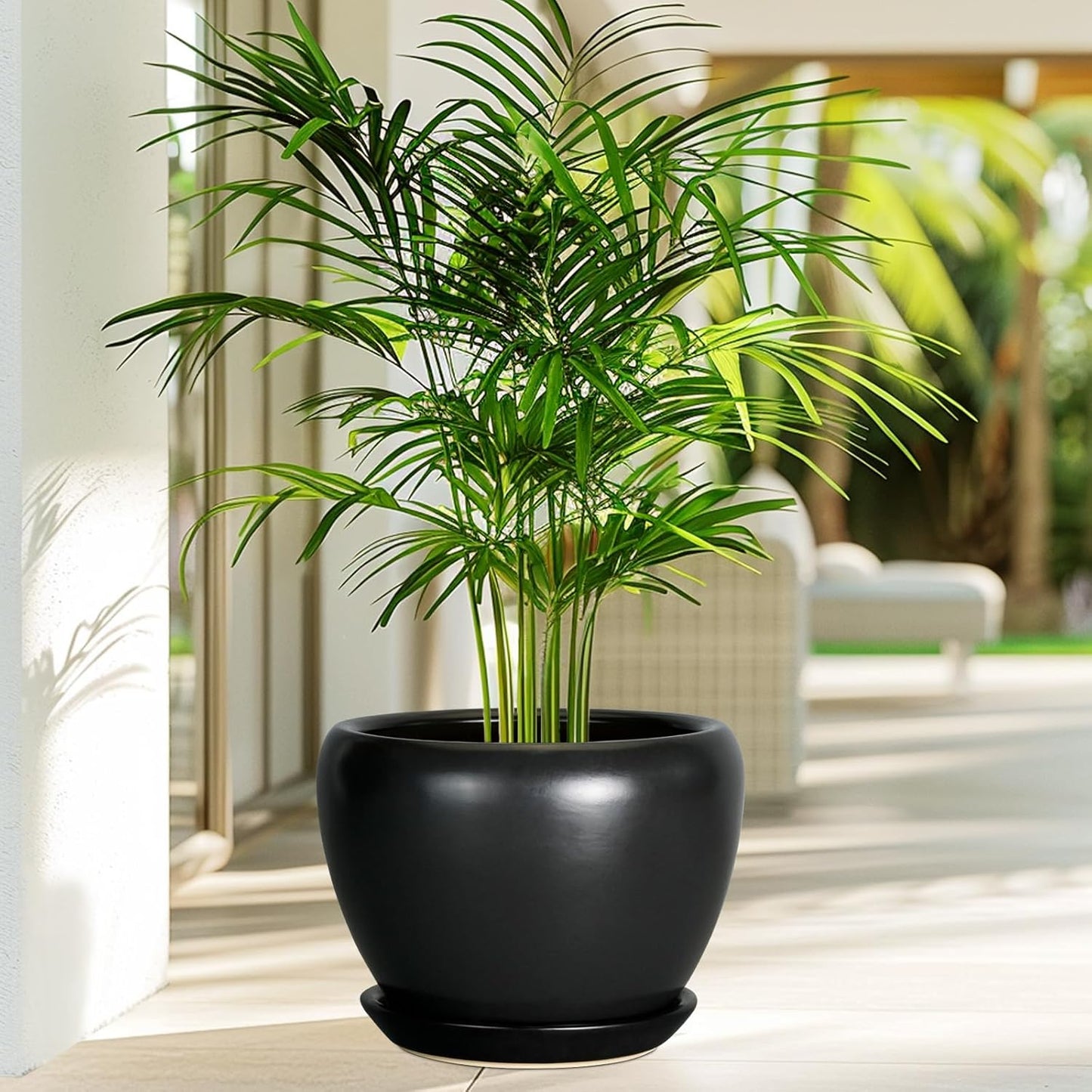 Ceramic Modern Glaze Succulent Planter Pot with Drainage Hole and Saucer 6 Inch Round Flower Plant Pot for Indoor Outdoor Herb Snake Plants