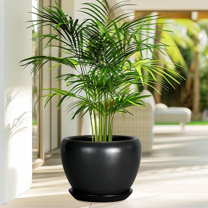 Ceramic Modern Glaze Succulent Planter Pot with Drainage Hole and Saucer 6 Inch Round Flower Plant Pot for Indoor Outdoor Herb Snake Plants