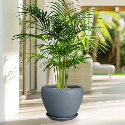 Ceramic Modern Glaze Succulent Planter Pot with Drainage Hole and Saucer 6 Inch Round Flower Plant Pot for Indoor Outdoor Herb Snake Plants