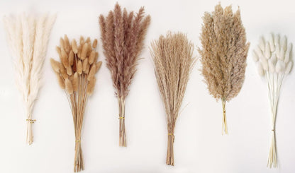 65PCS Pampas Grass Decor, Including pompas Floral, Reed Dried Grass and Bunny Tails Dried Flowers, Natural Dried Pampas Grass Bouquet for Boho Decor Wedding, Home Decoration