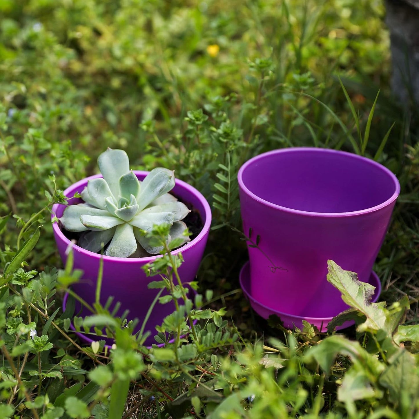 TDHDIKE 10 Pcs Plastic Planters Indoor Pots, Mini Flower Seedlings Nursery Flower Pot with Pallet, Modern Decorative Gardening Containers