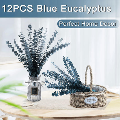 52 PCS Mix Dried Eucalyptus & Lavender Flowers Bundles for Shower, 17'' Natural Real Hanging Silver Dollar Eucalyptus Leaves Stems, Fragrance Fresh Plants Home Bathroom Decor (52pcs)