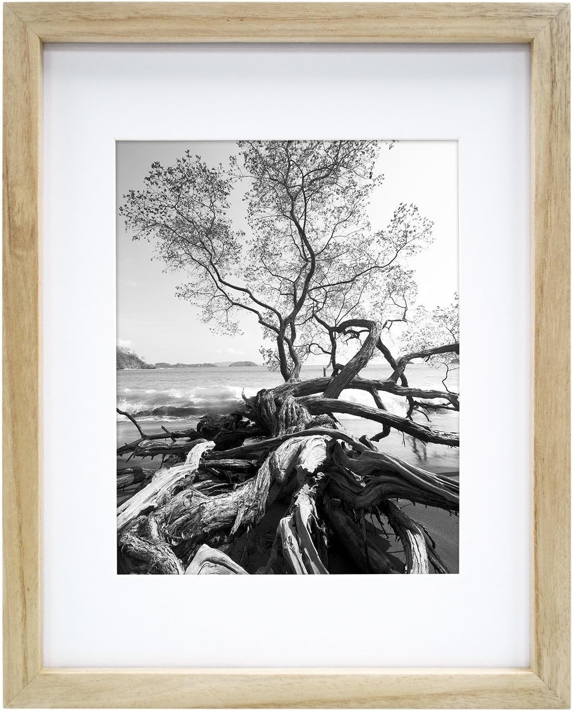 MCS Canvas Float Frames 8x10 Frame, Black Frame for Finished Canvases, Vertical & Horizontal Wall Hanging Frame with Adhesive for Canvas Paintings (1-Pack)
