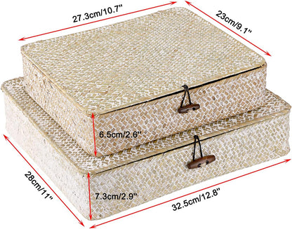 Hipiwe Set of 2 Flat Woven Wicker Storage Bins with Lid Natural Seagrass Basket Multipurpose Home Boxes for Shelf Organizer (Coffee)