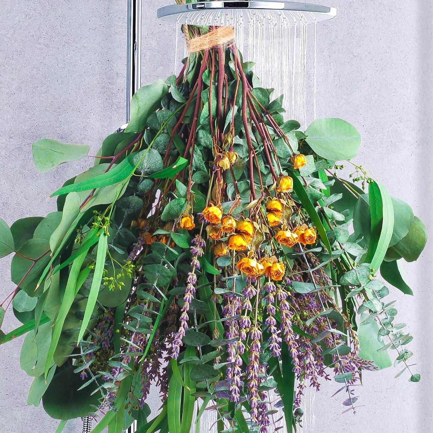 52 PCS Mix Dried Eucalyptus & Lavender Flowers Bundles for Shower, 17'' Natural Real Hanging Silver Dollar Eucalyptus Leaves Stems, Fragrance Fresh Plants Home Bathroom Decor (52pcs)