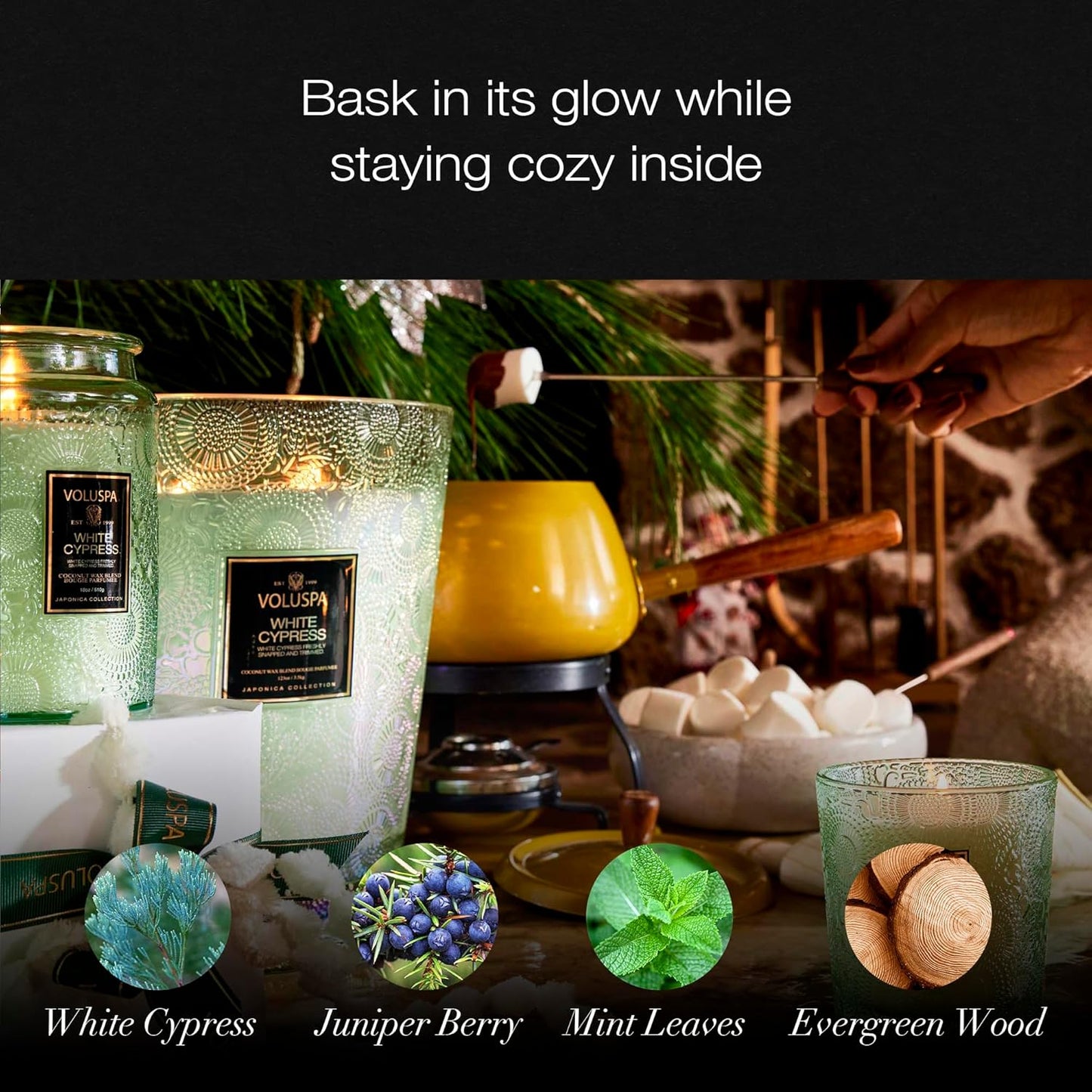 Voluspa Baltic Amber Candle, 18 oz, Coconut Wax Blend, Scented Candles for Home, 100 Hour Burn Time, Candle Jar