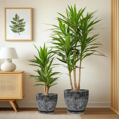 Plant Pots Indoor, Ceramic Planters Pots with Drainage Holes and Saucers, 10+8+6 Inch, Set of 3, Round Large Flower Pots for Indoor Outdoor Plants, Blue