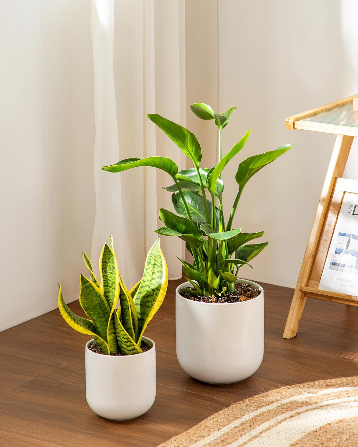 vancasso Ceramic Plant Pots, 4+5+6 inches, Set of 3, Planters with Drainage Hole, Flower Pots Planters Pots for Indoor Plants, Modern Indoor Decorative Garden Pot, Home Decor, White