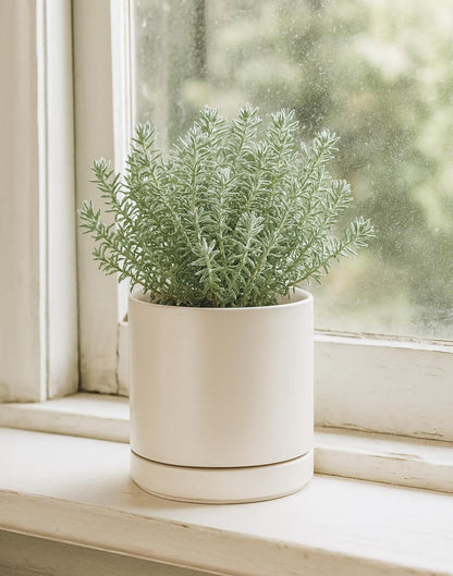 D'vine Dev 6.5 Inch Ceramic Planter Pot with Drainage Hole and Saucer, Indoor Cylinder Round Planter Pot, Olive, 94-O-C-J