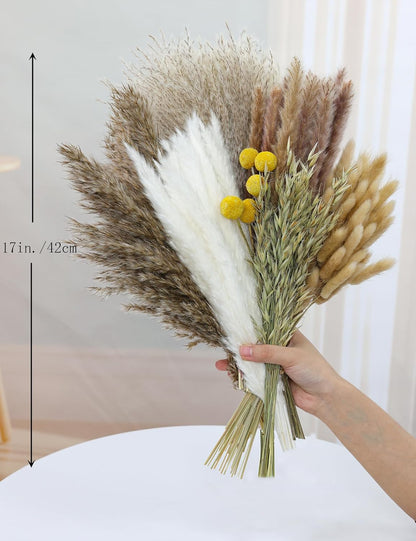 xin's convey 120 PCS Dried Pampas Grass, Dried Flowers, Reed Grass Bouquet for Bohemian Flowers Home Table Wedding Decoration, Rustic Farmhour.(Light Brown)