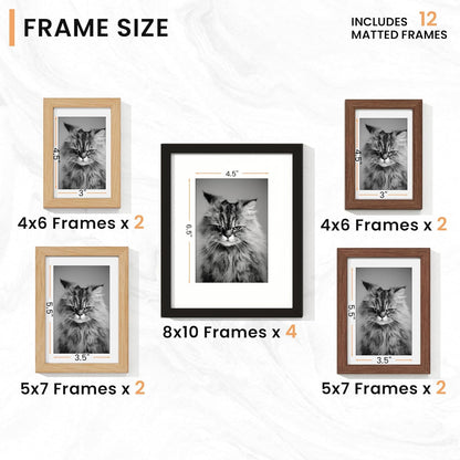 Venusmiles 20 Pack Picture Frames Collage Wall Decor, Gallery Frame Set for Wall Mounting or Tabletop Display, Multi Sizes Including 4pcs 8x10, 8pcs 5x7, 8pcs 4x6, Oak