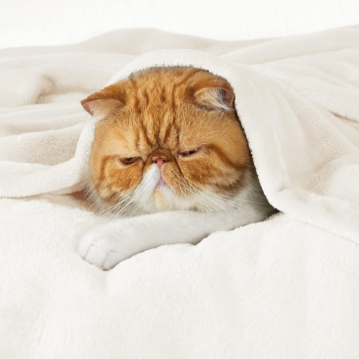 Bedsure GentleSoft Fleece Throw Blanket for Couch Grey - Lightweight Plush Fuzzy Cozy Soft Blankets and Throws for Sofa, Couch, Travel, Camping, 50x60 inches - Colors B