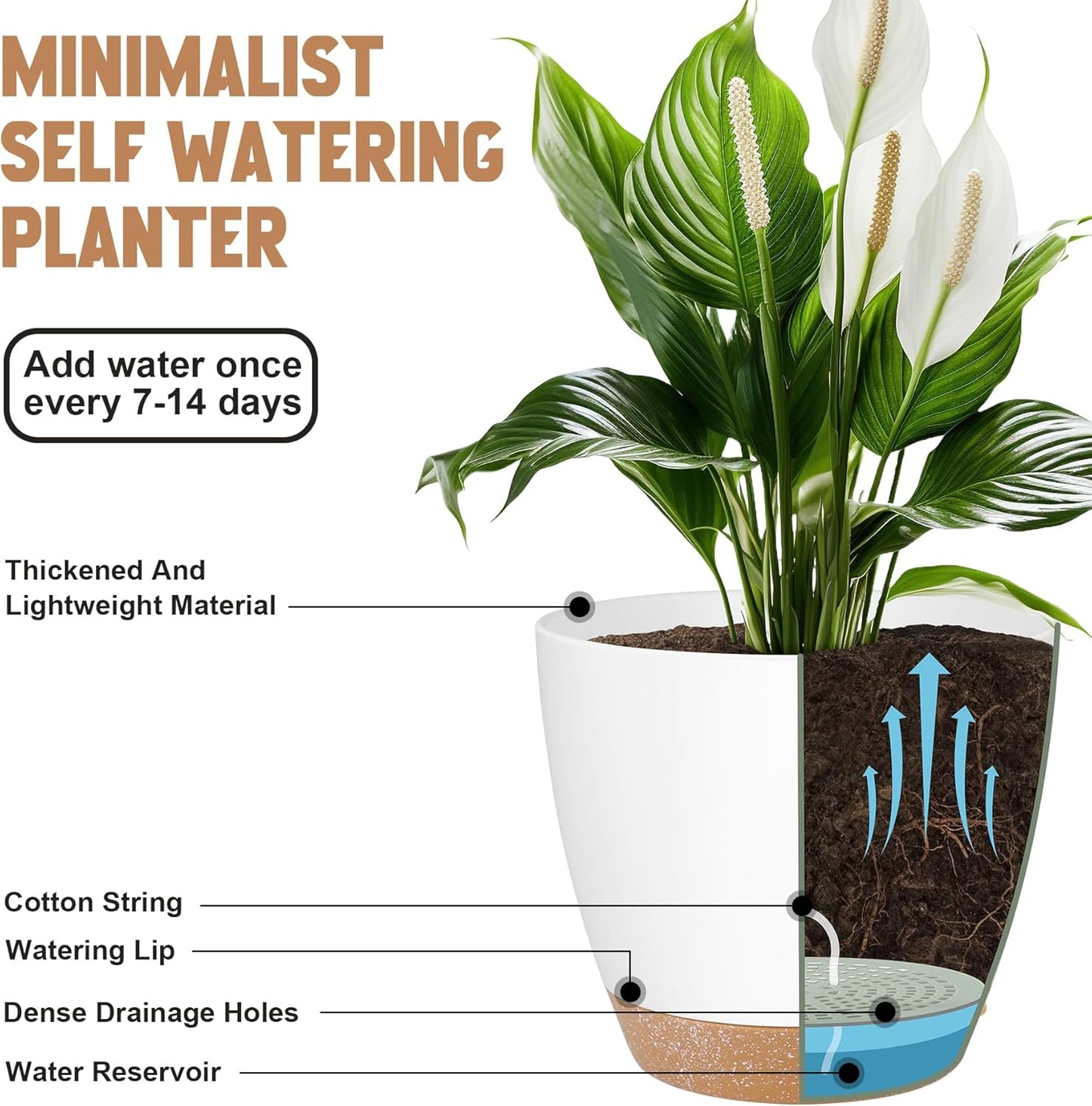 QRRICA Plant Pots 10/9/8/7.5/7 Inch Self Watering Pots, Set of 5 Plastic Planters with Drainage Holes and Saucers,Plastic Flower Pots,Nursery Planting Pot for Indoor Out Door Plants（Green）