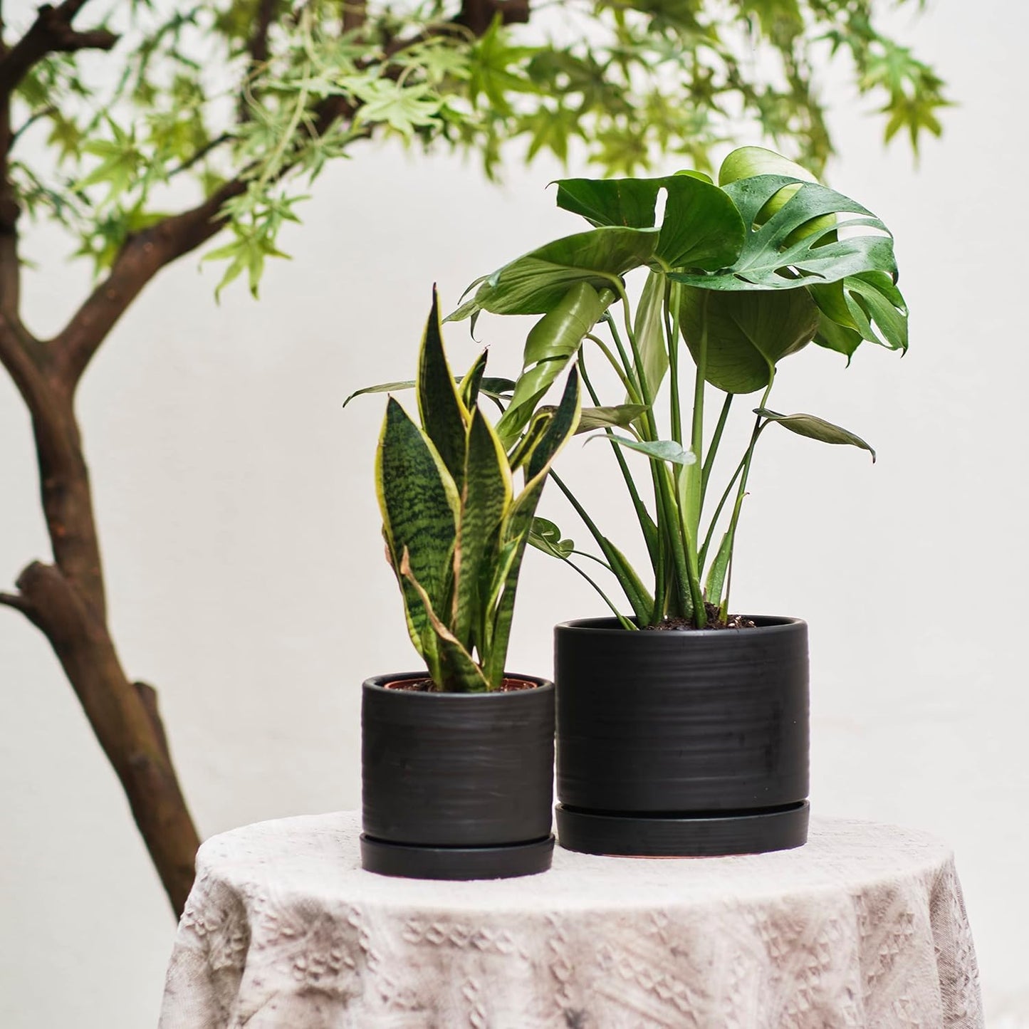 HERDUK 6 Inch Plant Pots, Ceramic Planter Pot with Drainage Hole & Saucer, Indoor/Outdoor Cylinder Round Planter Pot, Green & Beige