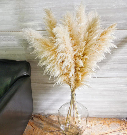 10 PCS Beige Pampas Grass Decor, Naturally Dried Pompas, Bunny Tails Dried Flowers, and Dried Eucalyptus. Perfect for Weddings, Boho Party Decorations, and Table Decor(17inch)