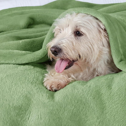 Bedsure GentleSoft Fleece Throw Blanket for Couch Grey - Lightweight Plush Fuzzy Cozy Soft Blankets and Throws for Sofa, Couch, Travel, Camping, 50x60 inches - Colors A