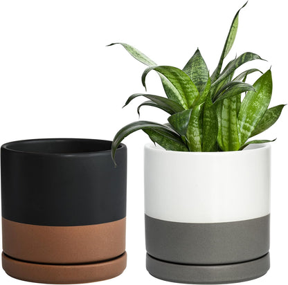 D'vine Dev Set of 2 Plants Pots, 6.5 Inch Ceramic Planter Pot for Plants with Drainage Hole and Saucer, White, 94-V-C-1