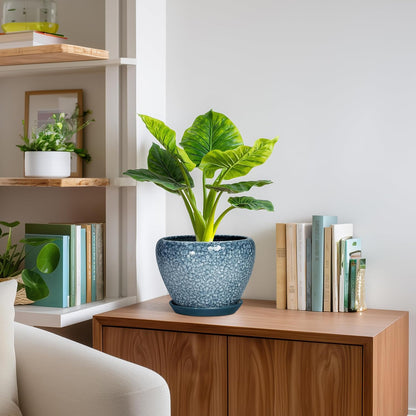 6 Inch Plant Pot - Ceramic Pots for Plants with Drainage Hole and Saucer, Round Succulent Planter Indoor Outdoor, Modern Flower Pot for Snake Plants, Home Decor, Gifts for Plant Lover, Blue