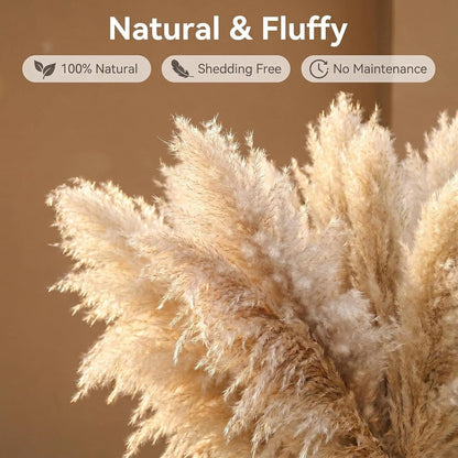 46" inch 10 Stems Natural Pampas Grass Decor Tall, Pompas Grass, Tall Pampas Grass for Weddingm, Farmhouse, Boho Home Decor (Beige)
