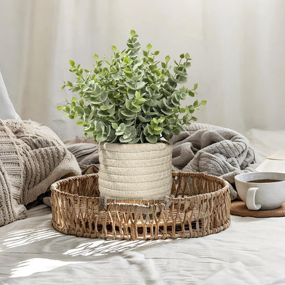 Hopewood Faux Plants, Small Fake Plant for Bathroom, Decorative Artificial Plants for Farmhouse Desk Shelf Decor with A Weave Basket (9.8inch)