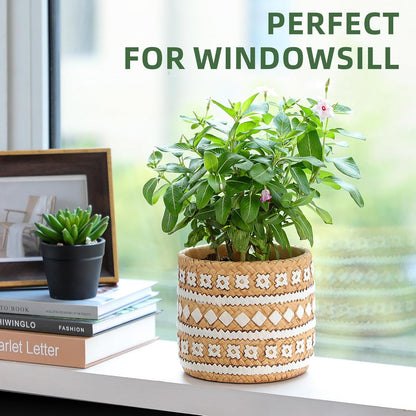 vomiceak Face Planter Pots Head, Planters for Indoor Plants - Double Cute Plant Pots for Flower & Succulent with Drainage Holes - Gift Ideas for Women (White Lady)