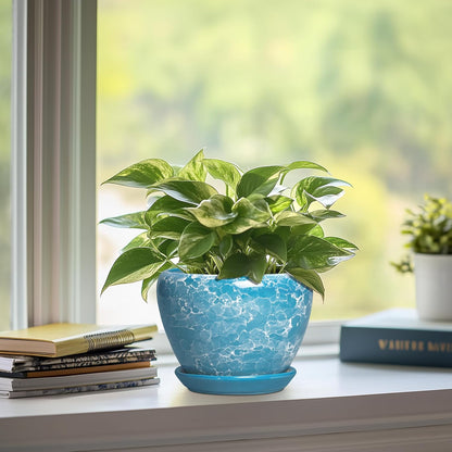 6 Inch Plant Pot - Ceramic Pots for Plants with Drainage Hole and Saucer, Round Succulent Planter Indoor Outdoor, Modern Flower Pot for Snake Plants, Home Decor, Gifts for Plant Lover, Blue