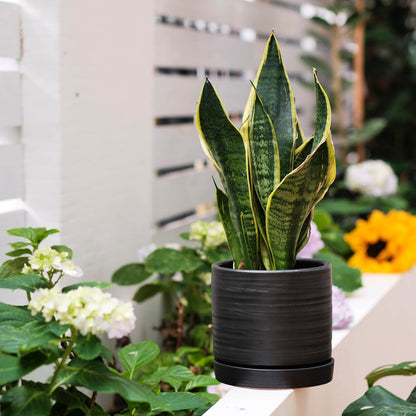 HERDUK 6 Inch Plant Pots, Ceramic Planter Pot with Drainage Hole & Saucer, Indoor/Outdoor Cylinder Round Planter Pot, Green & Beige