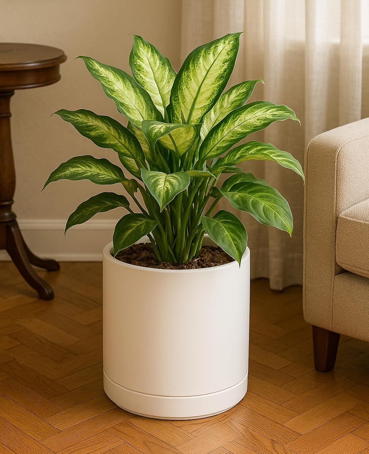 D'vine Dev Set of 2 Plants Pots, 6.5 Inch Ceramic Planter Pot for Plants with Drainage Hole and Saucer, White, 94-V-C-1