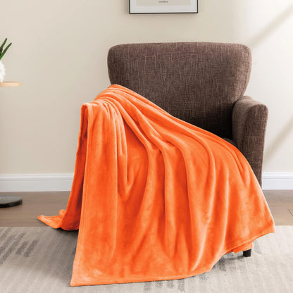BEDELITE Fleece Blanket Black Throw Blankets for Couch & Bed, Luxury Plush Cozy Fuzzy Blanket 50x60 inches, Super Soft Warm Lightweight Throw Blanket for Travel Camping - Colors B