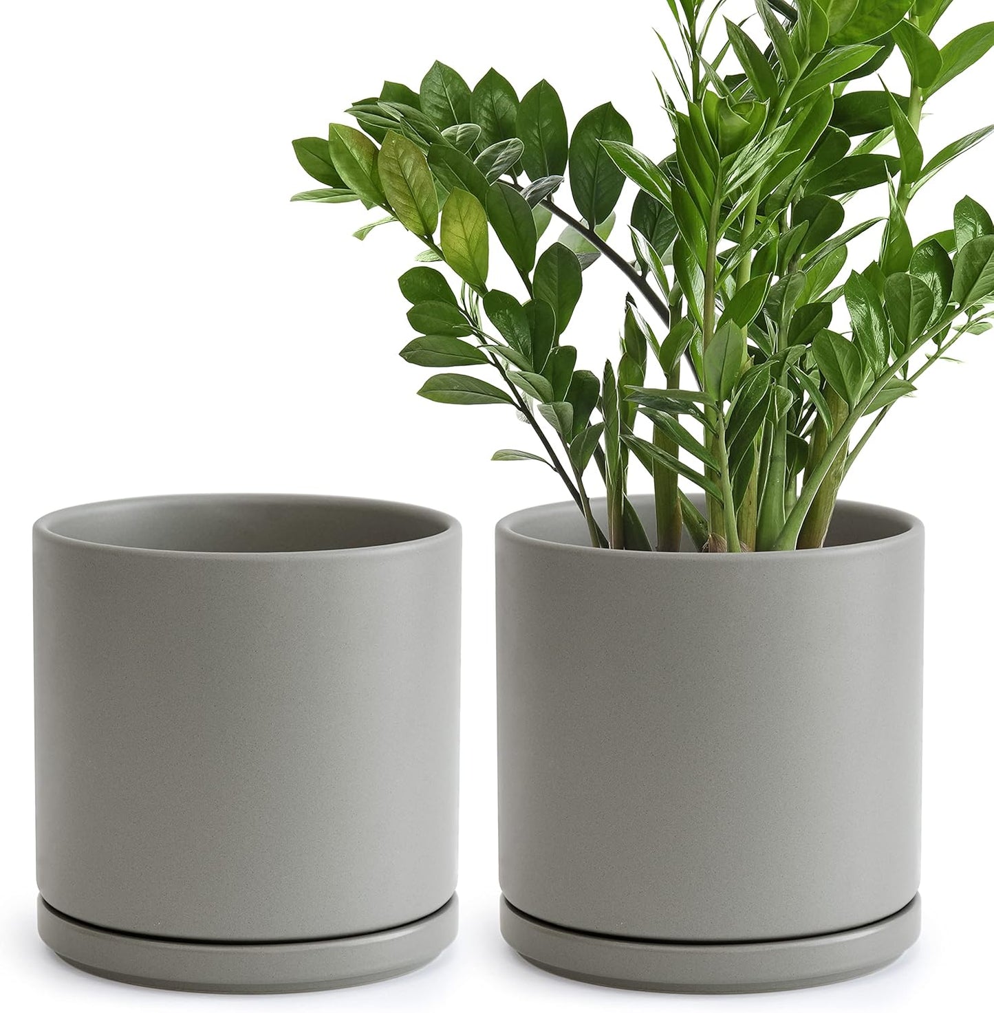 D'vine Dev Set of 2 Plants Pots, 6.5 Inch Ceramic Planter Pot for Plants with Drainage Hole and Saucer, White, 94-V-C-1
