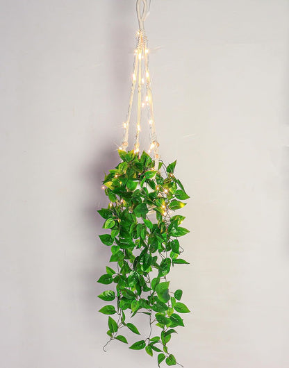 Comtelek Fake Hanging Plants with Lights Artificial Plants for Home Decor Macrame Plant Hanger with Fake Vines Faux Hanging Planter for Wall Ceiling Bedroom Bathroom Kitchen Office Boho Decor Indoor
