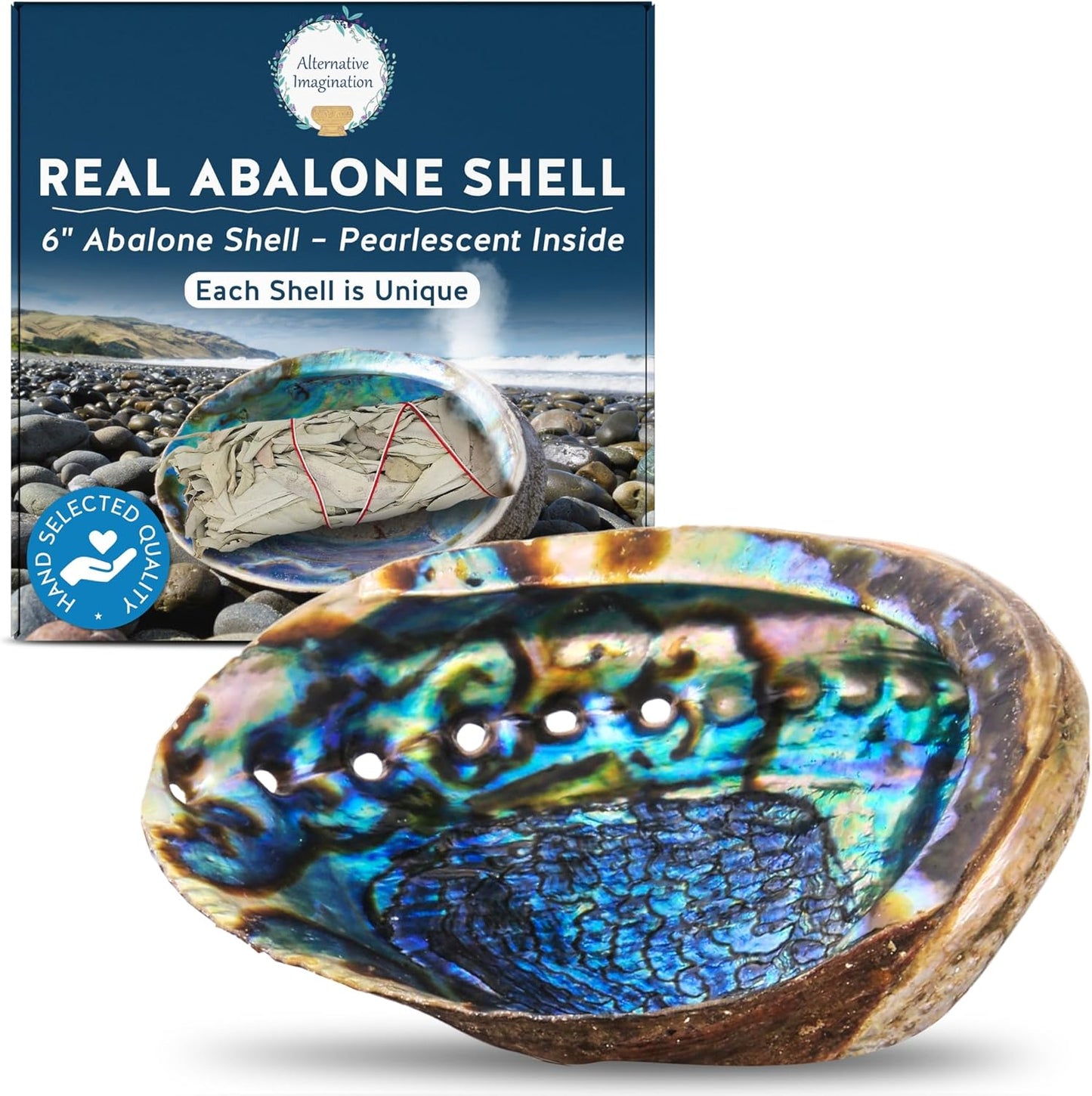 Alternative Imagination Hand Selected Abalone Shell - 6 Inches or Larger - Polished Mother-of-Pearl Interior - Flame-Proof Dish for Incense, Smudge Sticks, Trinkets, Crystal Display & Home Decor