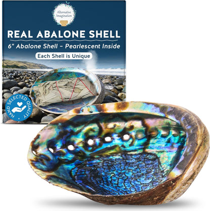Alternative Imagination Hand Selected Abalone Shell - 6 Inches or Larger - Polished Mother-of-Pearl Interior - Flame-Proof Dish for Incense, Smudge Sticks, Trinkets, Crystal Display & Home Decor